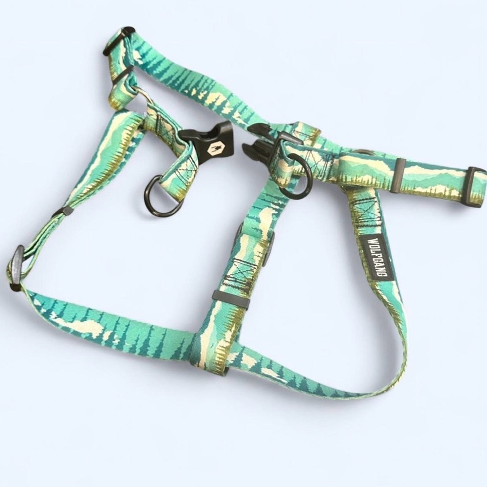 Wolfgang Harness AND Leash in “Greatescape” pattern